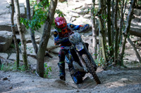 AM Race